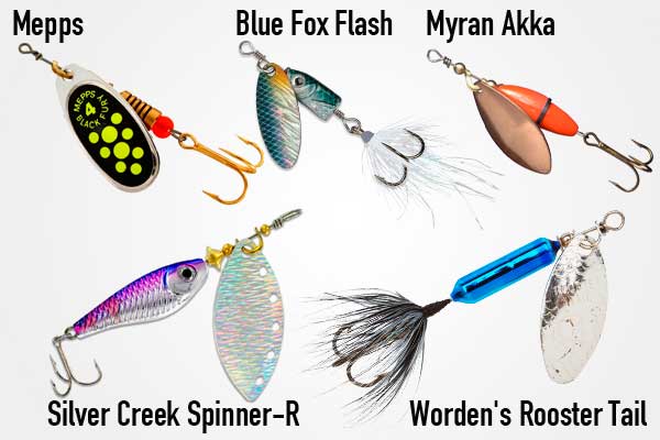 TOP 5 spinners for trout