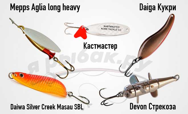 Top baits for asp