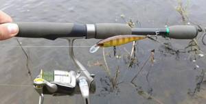 Twitching spinning rod