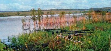 Rods on the shore