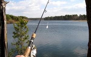 Rod for fishing with sbirulino