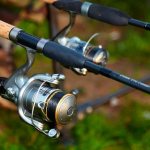 fishing rod for carp