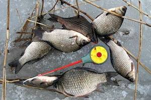 Fishing rod for catching crucian carp from ice