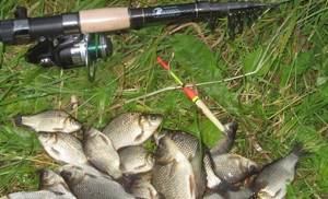 Fishing rod for crucian carp