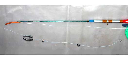 Fishing rod with a ring for catching bream with a ring photo