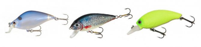 Crank wobblers for pike