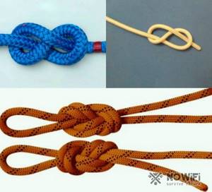 Figure eight knot photo