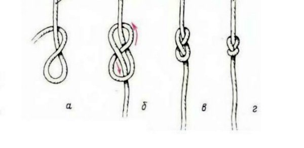 Classic figure eight knot