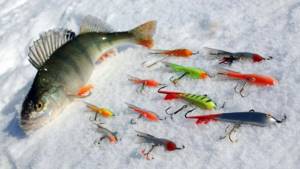 Types of balancers for perch in winter