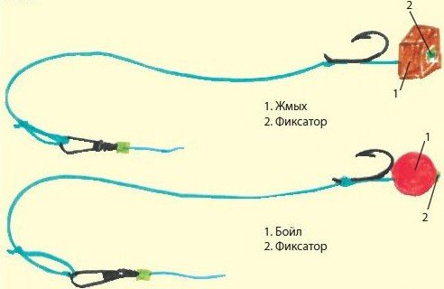 Types of tackle for carp