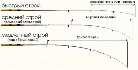 Types of rod action