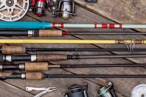 Types of fishing rods for summer fishing