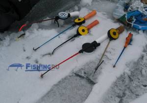 Types of winter fishing rods?