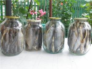 roach in jars