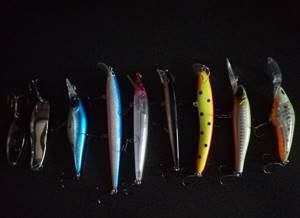 wobblers and spinners for pike perch