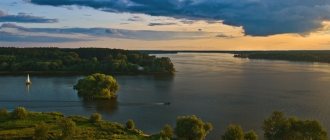 The Volga Reservoir is the birthplace of saberfish