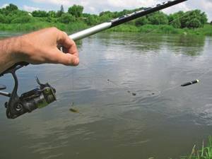 Two-handed spinning rods equipped with powerful reels are becoming increasingly popular among professional fishermen.