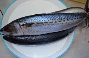 Is mackerel good for everyone?