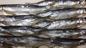 Dried sabrefish