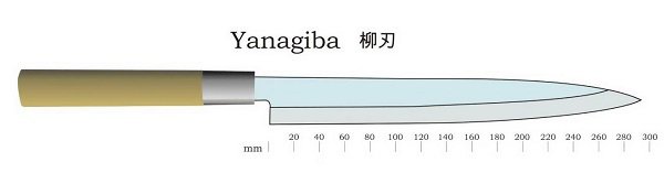 Japanese kitchen knife Yanagi Ba