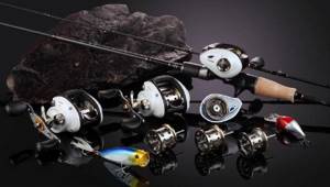 Casting with a baitcasting reel