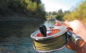 Casting in fly fishing