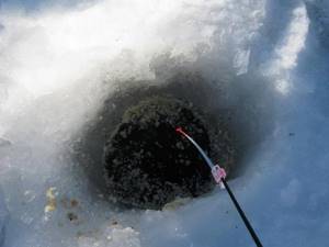 Feed hole with fishing rod