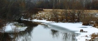 Frozen edges on the river
