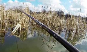 Thickets for crucian carp