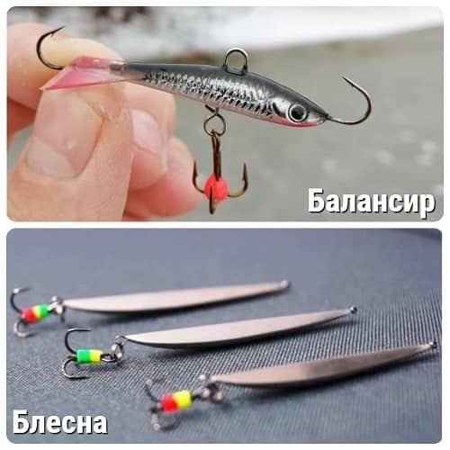 Winter lures: spoon and balancer
