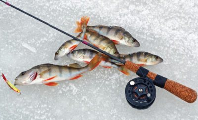 Winter fishing rod