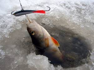 Зимняя рыбалка на Долгом озере