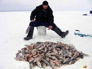 зимняя рыбалка на Каме