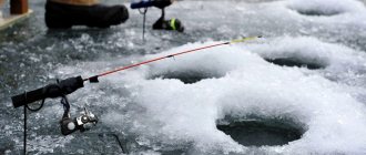 Winter fishing for kraya