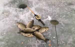 Winter fishing for kraya