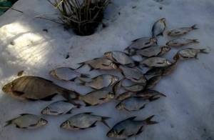 зимняя рыбалка на Рузском