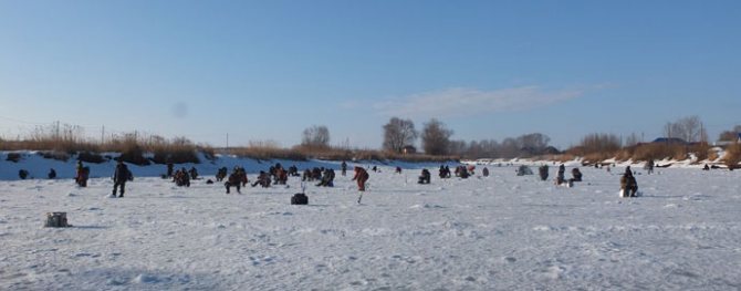 Winter fishing in the Moscow region