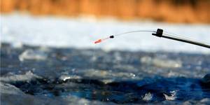 Winter fishing rod for crucian carp