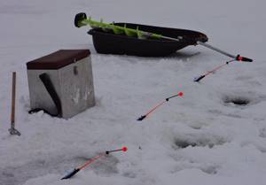 winter fishing rod for smelt
