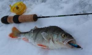 Winter fishing rod Salmo Pro Perch