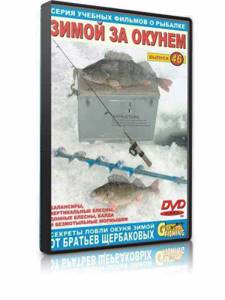 Fishing for perch in winter